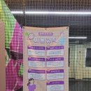 조치원체육공원 테니스장 이미지