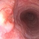 장새로내과의원 이미지