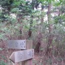 갑장사등산로 이미지