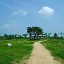 무궁화공원 농구장 이미지