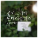 선지그리다 이미지