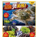 양지컴퓨터세탁 | 이마트 할인 세일 행사 전단지 추천(8월 28일까지)