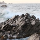 솔내향커피 이미지