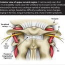 고든몸한의원 이미지