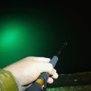 삼포방파제 이미지