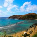 코코농장 2 이미지