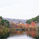 고복마트 이미지