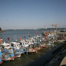 채석포항 이미지