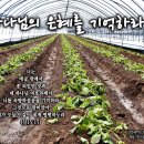 PICTURE&TEXT_20240915_하나님의 은혜를 기억하라!_신명기 15장 15절_오순절 후 열일곱 번째 주일 묵상_우리 성도님의 이미지