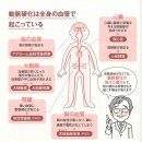 (주)지케이에너지 | '마운자로'로 좁아진 혈관 되돌리기