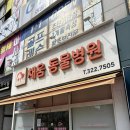 채움동물병원 | 부천 상동 동물병원 &#34;채움 동물병원&#34; 추천✦ 방문 후기