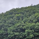 하가막마을 이미지