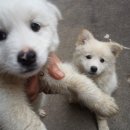 원영농장 이미지