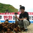 농섬