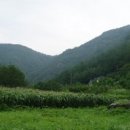 귀밤나무민박 이미지