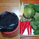 영동청정농원