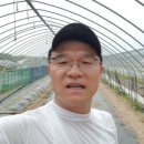 김광수농장 이미지