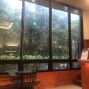 강창순내과의원 | 2차 백신 후기&amp; TAZZADOAD AL PATHON