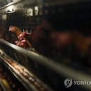 혜리농장 이미지