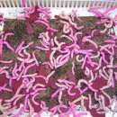 누에 [silkworm] 이미지