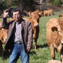 소들목장 이미지