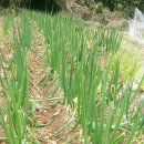 다래농원 이미지