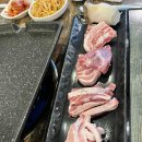 돼지나라 이미지