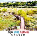 아름답개 이미지