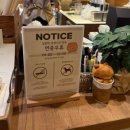 달임막 | [성수] 🍯내돈내산🍯성수 핫플 귀여운 카페로 유명한 '달임막' 주말 웨이팅 , 맛, 솔직후기