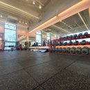 변현선의 풀바디짐 이미지