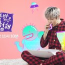 이불 속 댕댕이 Daum카페