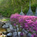 전국노래자랑 노래연습장 이미지