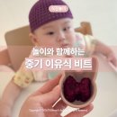 하얀손비트 | 중기 이유식과 놀이가 함께하는 시간 : 비트