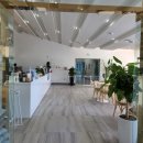 피터펫카페 가덕도점 이미지