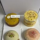 코코 불당점 | 신불당 델리시아케이크 천안디저트 맛집 고급스러운 쁘띠갸또 케이크 추천