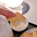 스테인동백
