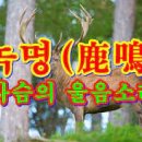 녹명 이미지