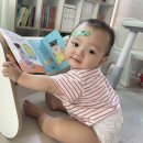 펜스토리 | 돌아기책 유아전집 리틀천재 돌잡이한글 바나펜과 책육아 후기