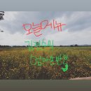 김정순의엄마손반찬