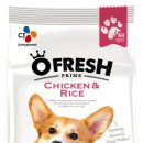 제일애견 이미지