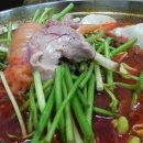 완도수산야채막회 이미지