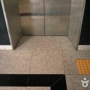 현대크루즈호 Daum카페
