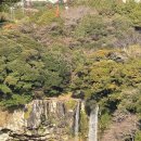 비경