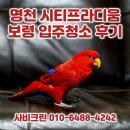 세븐일레븐 보령명천행복점 | 명천 시티프라디움 입주청소 합리적인 비용으로 만족했던 보령 청소업체