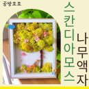 오산숲유치원 | 초록빛 행복을 심다:어르신들과 스칸디아모스액자만들기 온라인 원예출강수업
