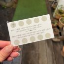 춘천로 | [춘천 술집] 꽃술래 후기 | 춘천 분위기 좋은 술집, 데이트 코스 추천