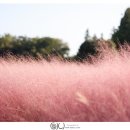 서광리-11 네이버블로그