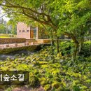 2387 | 제주시맛집 이끼숲소길 제주 자연 속 아늑한 카페