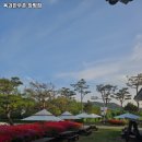 신용한우촌 | 옥과한우촌 창평점 추천 / 전남 육개장