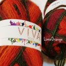 라임오렌지 이미지